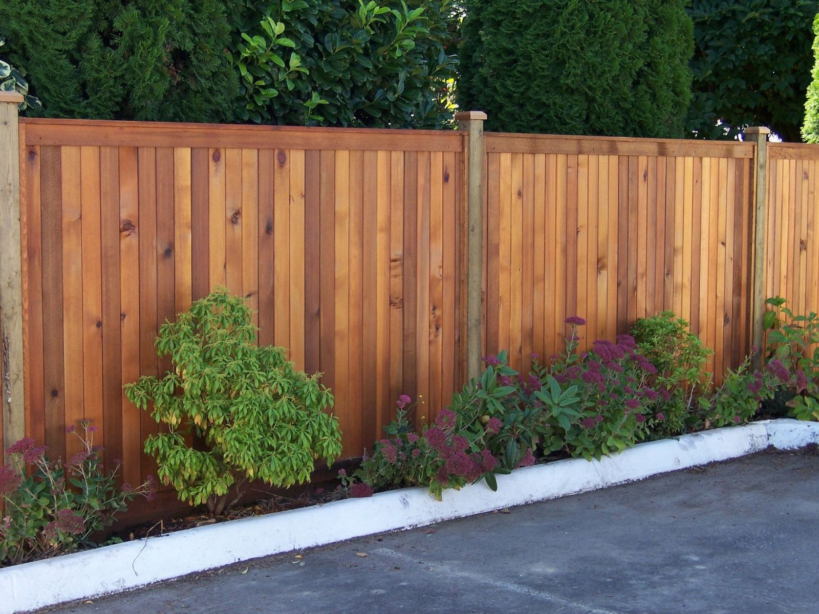 Maintain Your Fence>